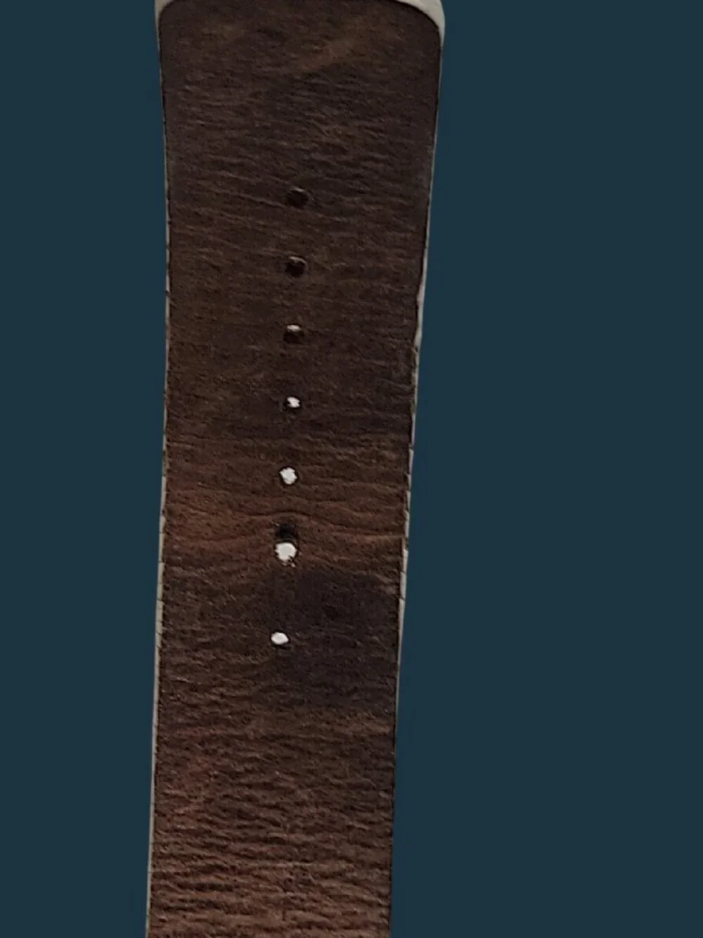 Fossil this elegant